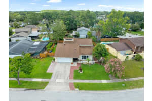 15711 SPRINGMOSS LANE, TAMPA, FL 33624 - MLS#MFRTB8399394