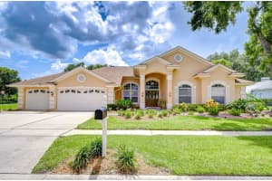 17302 Stetson Ln, ODESSA