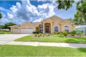 17302 STETSON LANE, ODESSA, FL 33556 - MLS#MFRTB8399467
