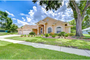 17302 STETSON LANE, ODESSA, FL 33556 - MLS#MFRTB8399467