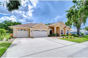 17302 STETSON LANE, ODESSA, FL 33556 - MLS#MFRTB8399467