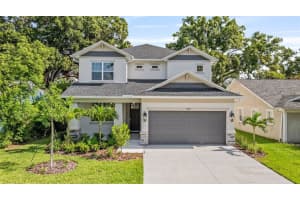 919 W Adalee St, TAMPA