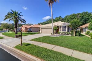 3704 DARSTON STREET, PALM HARBOR, FL 34685 - MLS#MFRTB8399527