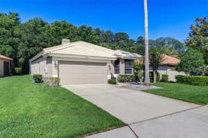3704 DARSTON STREET, PALM HARBOR, FL 34685 - MLS#MFRTB8399527
