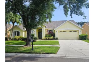 9708 Dunscroft Ln, TAMPA