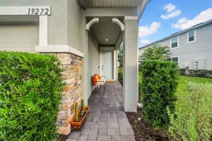 19272 BLUE POND DRIVE, LUTZ, FL 33558 - MLS#MFRTB8399536