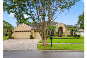 12439 Bristol Commons Cir, TAMPA