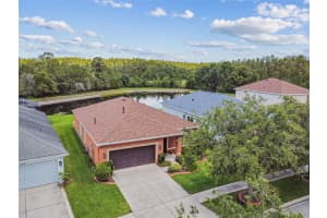 20244 MERRY OAK AVENUE, TAMPA, FL 33647 Sold 08/06/25