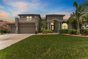1553 CANOPY OAKS BOULEVARD, PALM HARBOR, FL 34683 - MLS#MFRTB8399589
