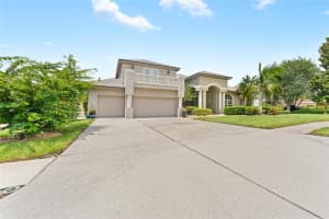 1553 CANOPY OAKS BOULEVARD, PALM HARBOR, FL 34683 - MLS#MFRTB8399589