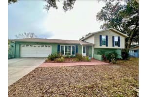 2014 Nancy Ave, LUTZ