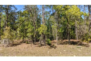 0 97TH PLACE, DUNNELLON, FL 34432 - MLS#MFRTB8399604