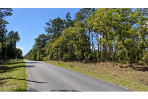 0 97TH PLACE, DUNNELLON, FL 34432 - MLS#MFRTB8399604