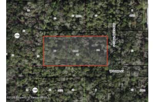 DUNN & PENNSYLVANIA, HOMOSASSA, FL 34448 - MLS#MFRTB8399686