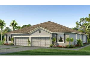 31451 Paper Birch St, WESLEY CHAPEL