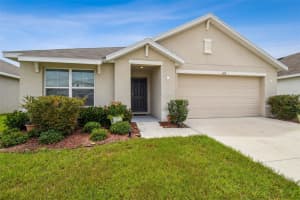 4119 AUTUMN AMBER DRIVE, SPRING HILL, FL 34609 - MLS#MFRTB8399720