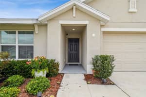 4119 AUTUMN AMBER DRIVE, SPRING HILL, FL 34609 - MLS#MFRTB8399720