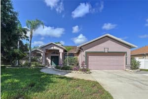 22804 Willow Lakes Dr, LUTZ