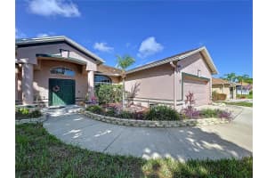 22804 WILLOW LAKES DRIVE, LUTZ, FL 33549 - MLS#MFRTB8399741
