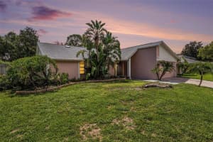 3335 Foxridge Cir, TAMPA