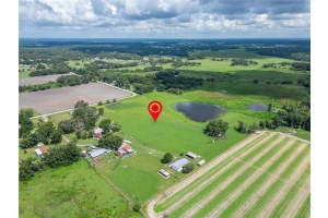 1620 MCGEE ROAD, PLANT CITY, FL 33565 - MLS#MFRTB8399766