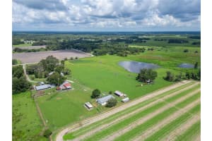 1620 MCGEE ROAD, PLANT CITY, FL 33565 - MLS#MFRTB8399766
