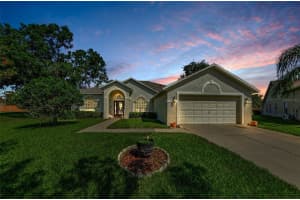 8604 Herons Cove Pl, TAMPA