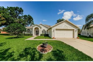 8604 HERONS COVE PLACE, TAMPA, FL 33647 - MLS#MFRTB8399775