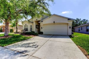 4522 LISETTE CIRCLE, BROOKSVILLE, FL 34604 - MLS#MFRTB8399789