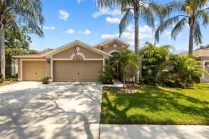 2511 Groveway Dr, VALRICO