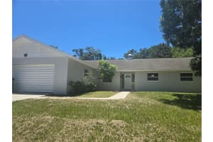 105 DUNBRIDGE DRIVE, PALM HARBOR, FL 34684 - MLS#MFRTB8399821
