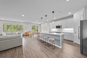 19259 MOSSY PINE DRIVE, TAMPA, FL 33647 Sold 08/07/25