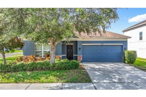 18339 Fish Loop, LAND O LAKES