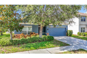 18339 FISH LOOP, LAND O LAKES, FL 34638 - MLS#MFRTB8399847