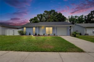 3733 MENDOCINO STREET, NEW PORT RICHEY, FL 34655 - MLS#MFRTB8399869