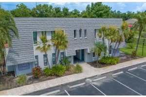 720 LYNDHURST STREET, DUNEDIN, FL 34698 - MLS#MFRTB8399870