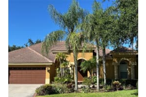 1353 El Pardo Dr, TRINITY