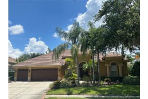1353 EL PARDO DRIVE, TRINITY, FL 34655 - MLS#MFRTB8399872