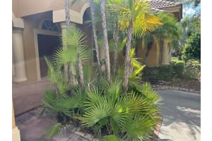 1353 EL PARDO DRIVE, TRINITY, FL 34655 - MLS#MFRTB8399872