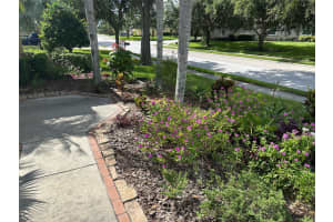 1353 EL PARDO DRIVE, TRINITY, FL 34655 - MLS#MFRTB8399872