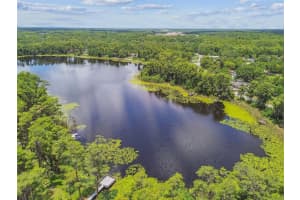 17906 LORETTA LANE, LUTZ, FL 33548 - MLS#MFRTB8399926
