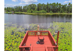 17906 LORETTA LANE, LUTZ, FL 33548 - MLS#MFRTB8399926