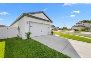 29245 FEDORA CIRCLE, BROOKSVILLE, FL 34602 - MLS#MFRTB8399937