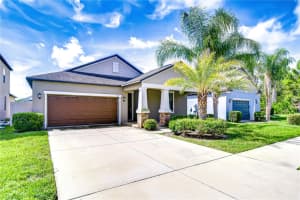 11011 Little Blue Heron Dr, RIVERVIEW