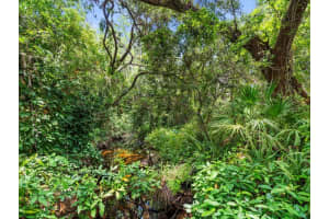 16035 CHASTAIN ROAD, ODESSA, FL 33556 - MLS#MFRTB8399971