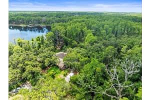 16035 CHASTAIN ROAD, ODESSA, FL 33556 - MLS#MFRTB8399971