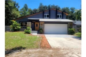 16133 Ravendale Dr, TAMPA
