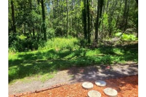 16133 RAVENDALE DRIVE, TAMPA, FL 33618 - MLS#MFRTB8399976