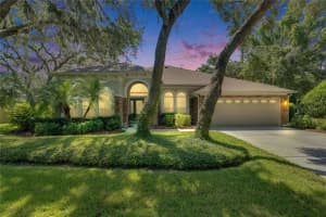 5804 Terncrest Dr, LITHIA