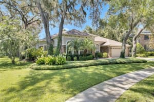 5804 TERNCREST DRIVE, LITHIA, FL 33547 - MLS#MFRTB8400013